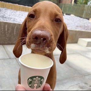 Meet your Posher, Ells